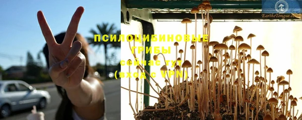 спиды Алексин