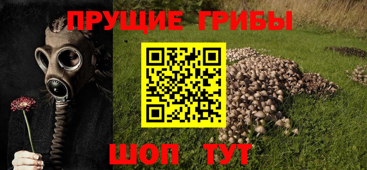 Псилоцибиновые грибы мухоморы Донецк